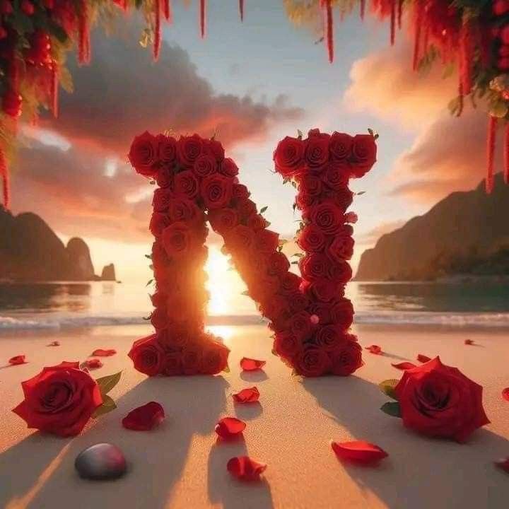 N name dp love girl attitude