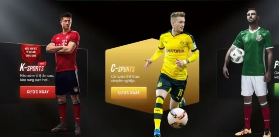 Sports at 11bet The Ultimate Online Betting Experience