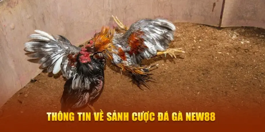 Step into the Arena of Fun with Nhà Cái NEW88 – Where Bets Come Alive!