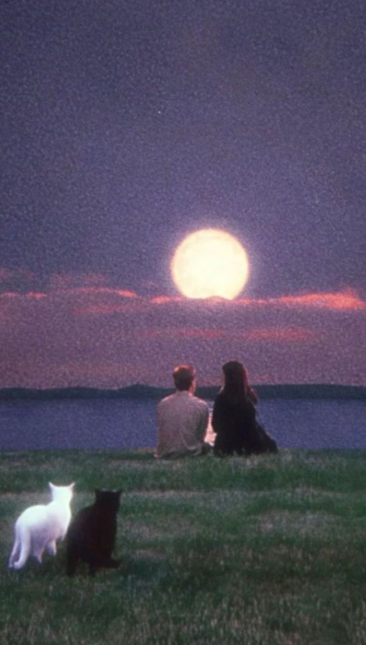 aesthetic matching pfp