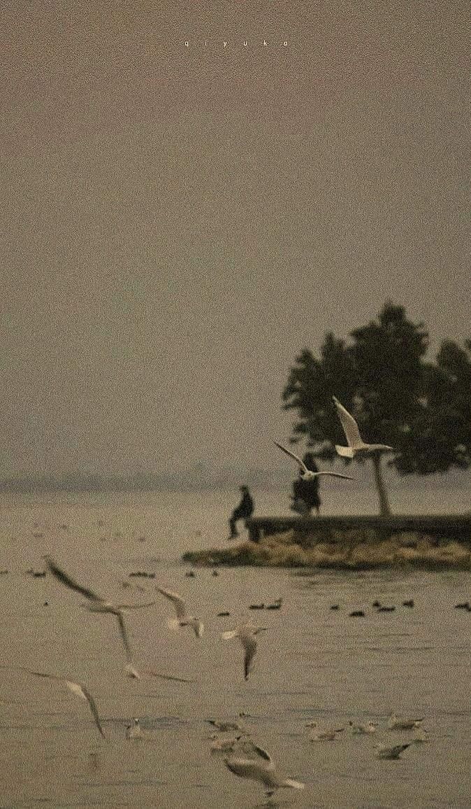 aesthetic pfp aesthetic