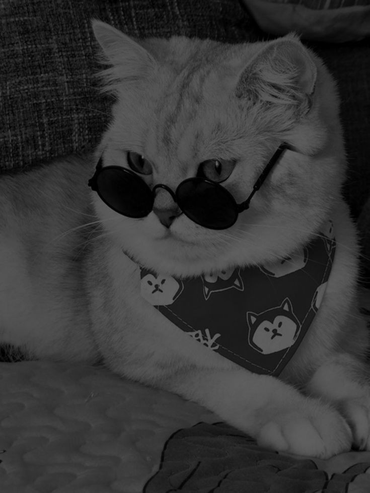 aesthetic pfp autumn