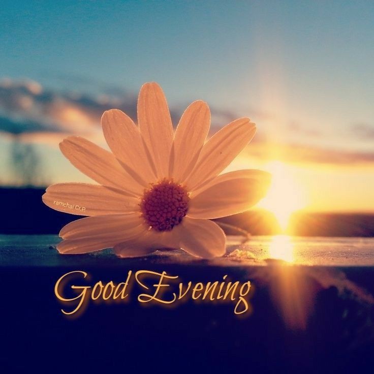 amazing good evening images