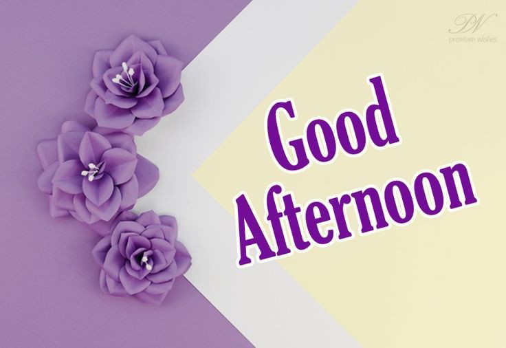 animated good afternoon images