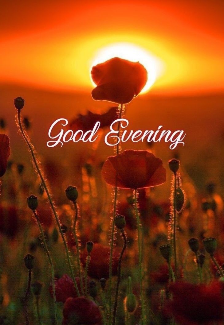 animated good evening images