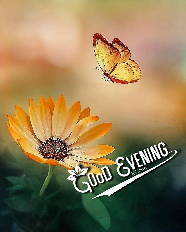 awesome good evening images