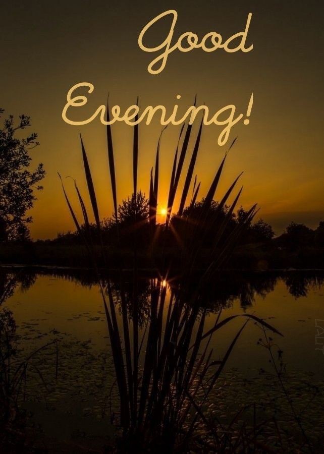 beautiful good evening images for whatsapp with quotes