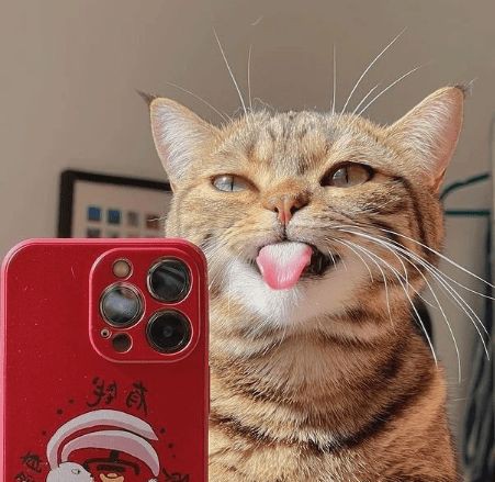 black and white aesthetic pfp