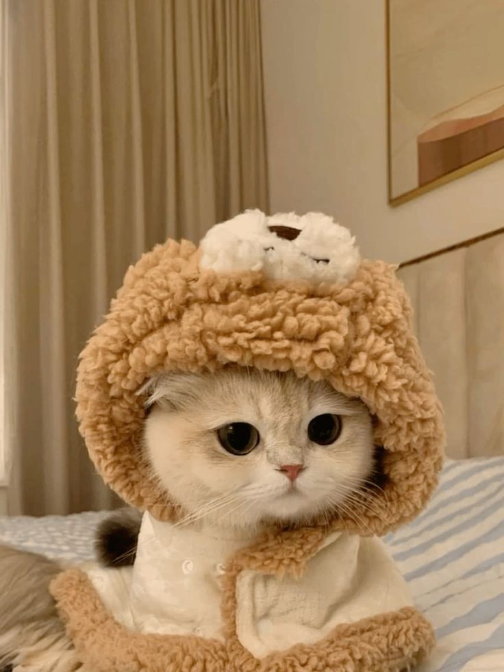 black cat pfp marvel