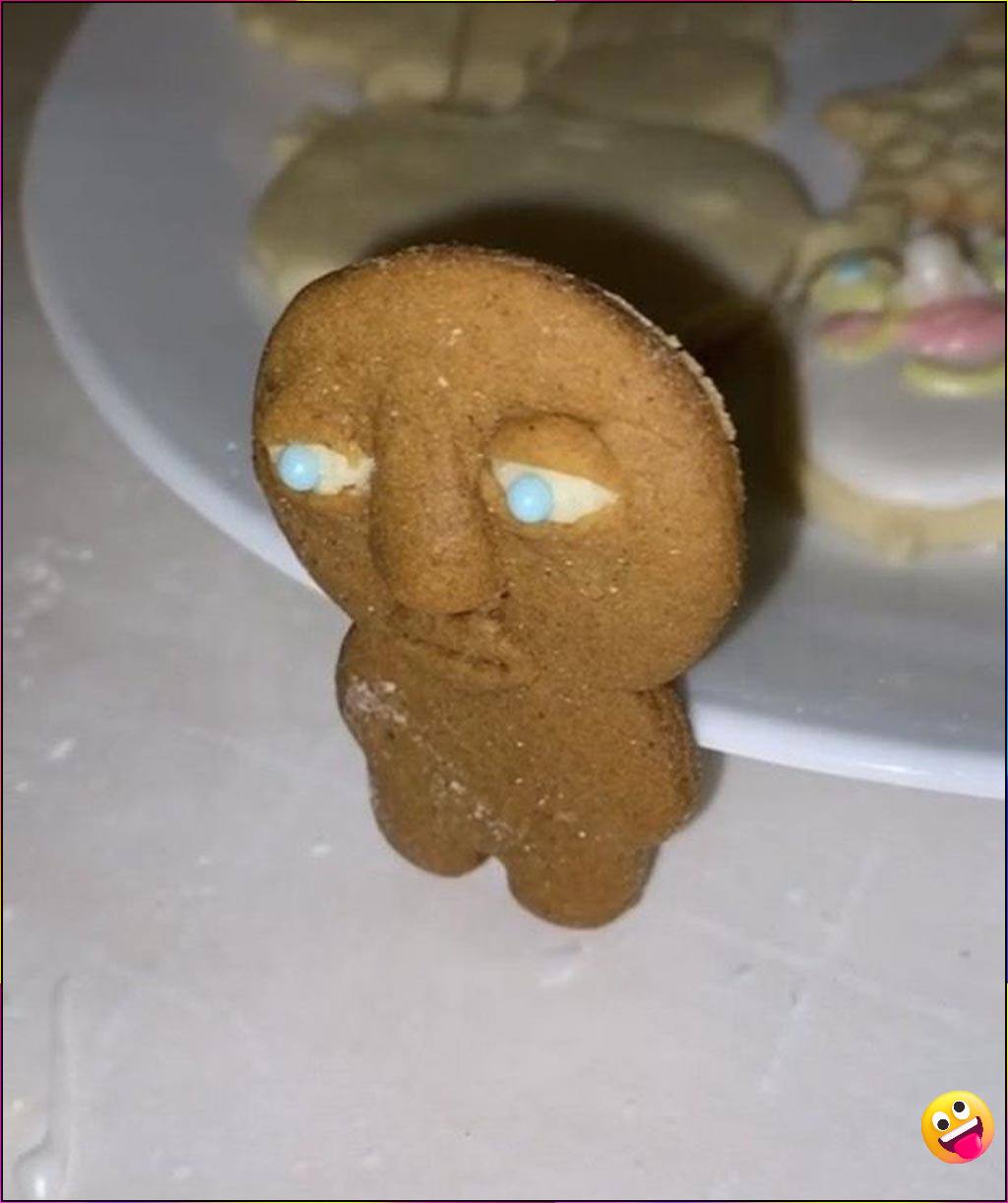 cat meme pfp pinterest