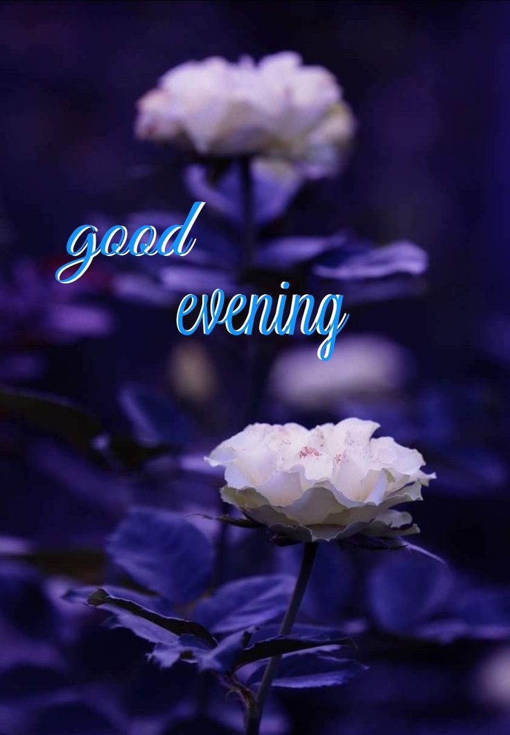 cloudy good evening images