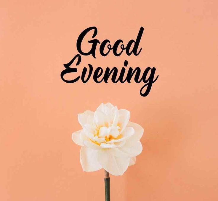 cute good evening images