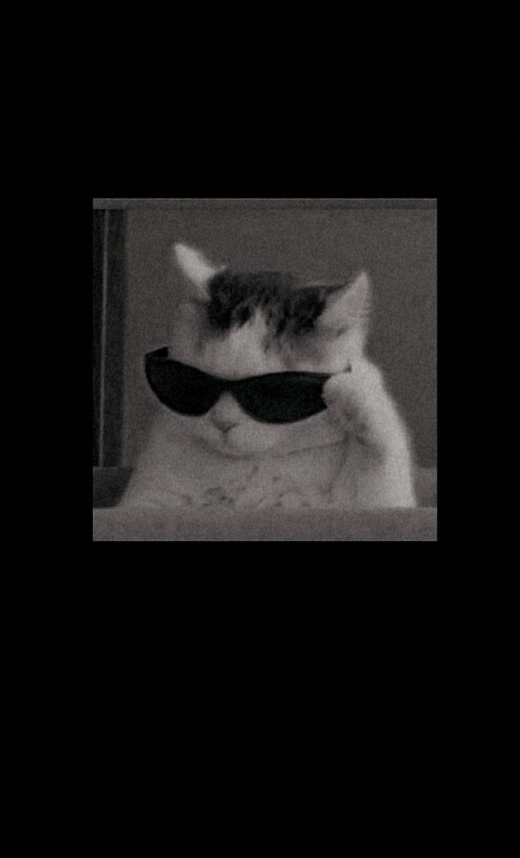 discord black pfp gif