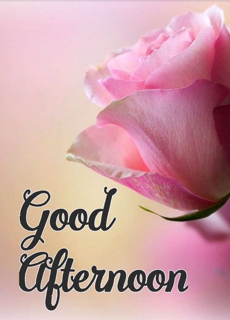 good afternoon images and quotes