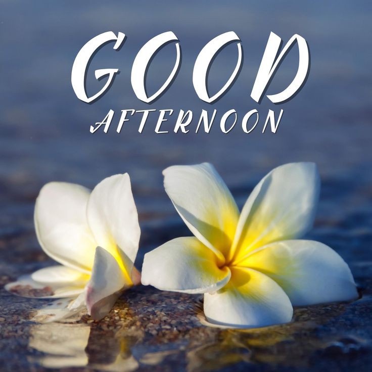 good afternoon images animated
