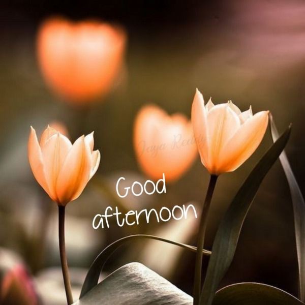 good afternoon images cartoon