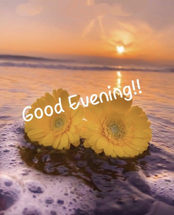 good evening images bengali for whatsapp