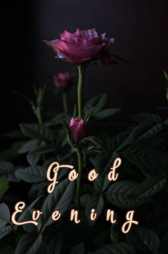 good evening images clipart