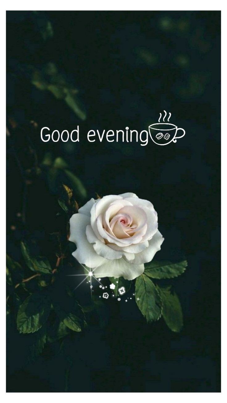 good evening images dear