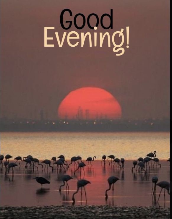 good evening images download for whatsapp