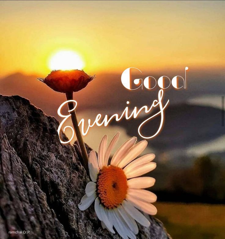 good evening messages and images
