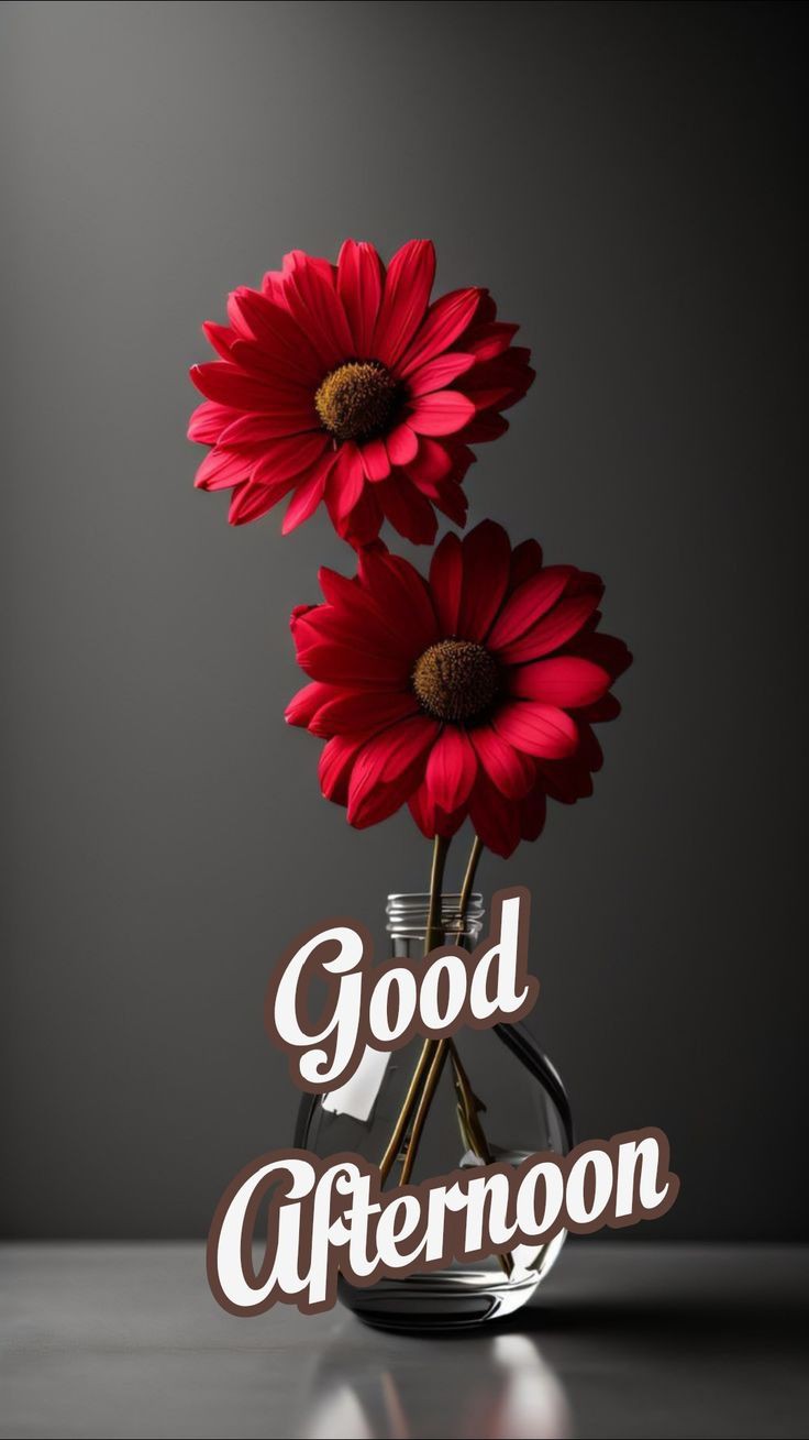 good night pic aesthetic