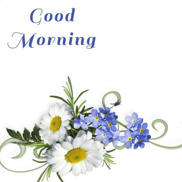 good night pic bengali