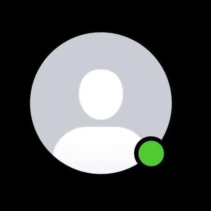 instagram no face dp boy