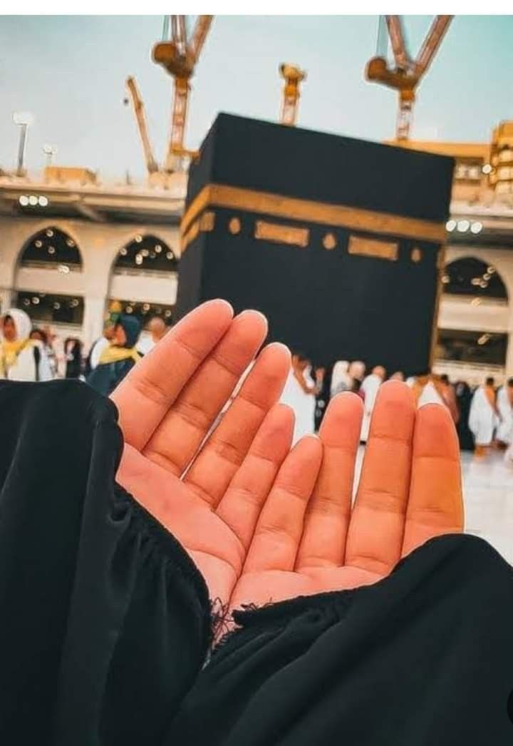 muslim girls dp cartoon hijab