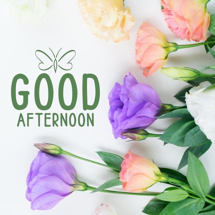 romantic good afternoon photo