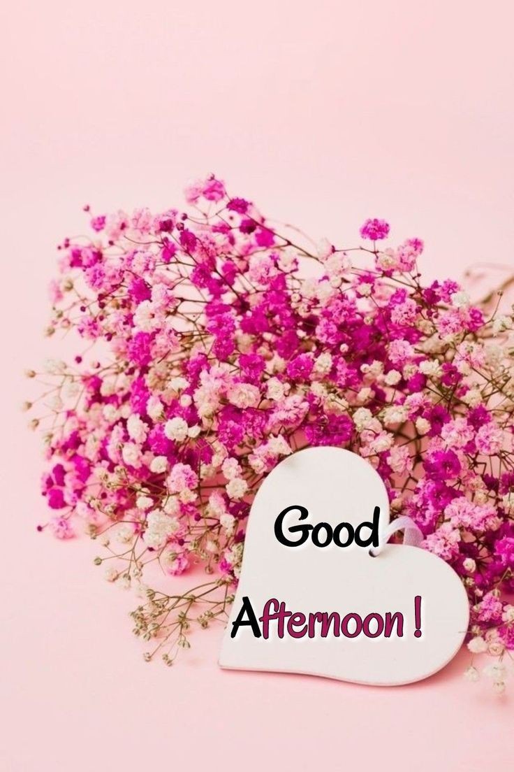 sunday good afternoon images