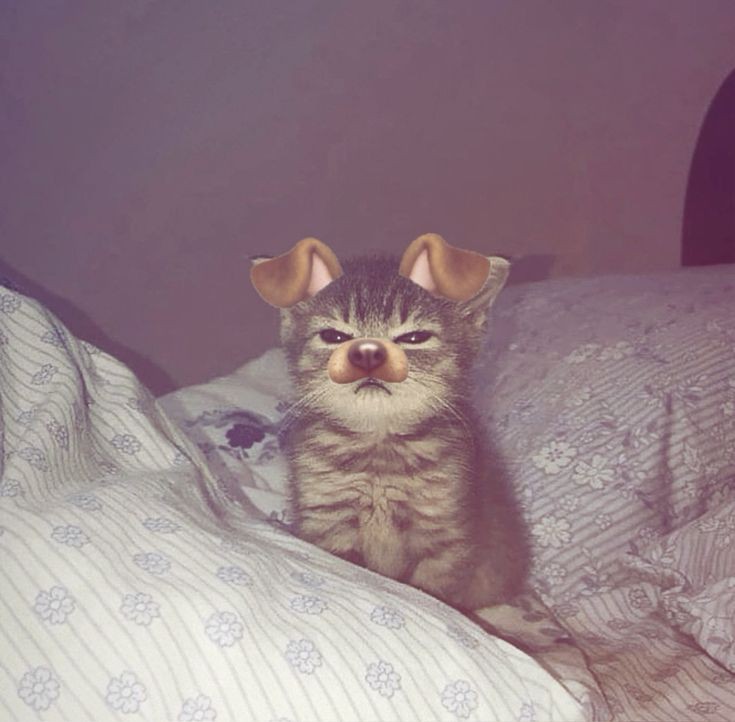 tiktok pfp default sad