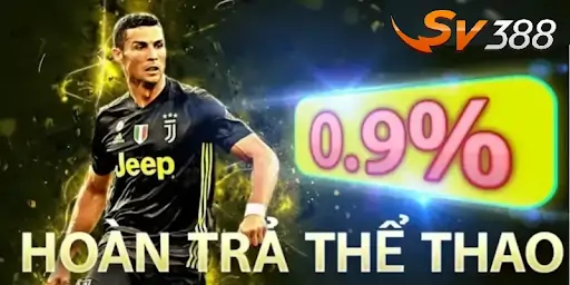 SV388 Sports Discovery – Where Passion Meets Luck